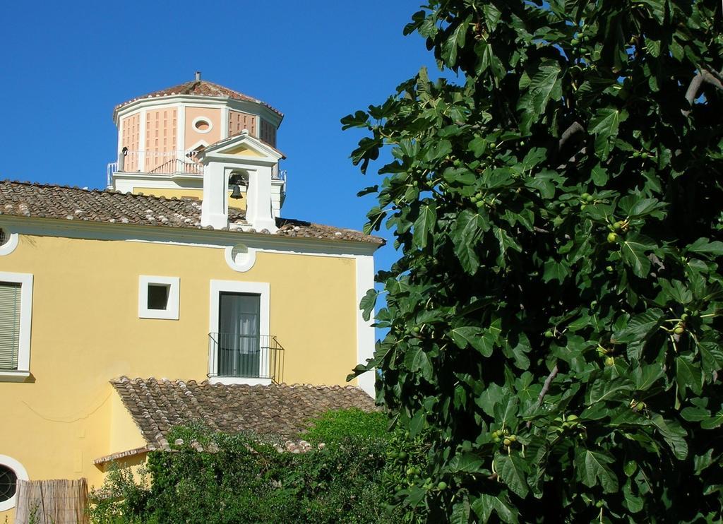 Farmstay La Morella Battipaglia Eksteriør bilde